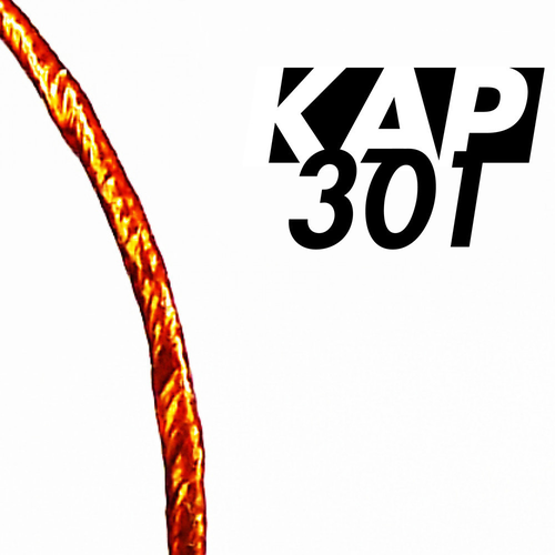 301-KAPM-100-50M.jpg